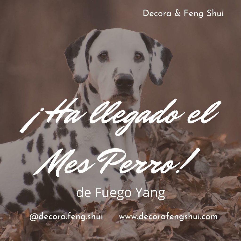 feng shui octubre 2020