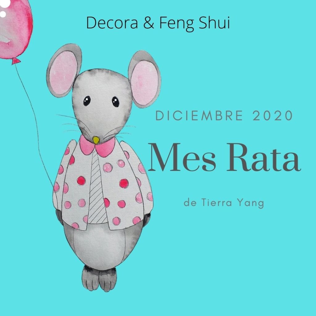 Curas Feng Shui Diciembre 2020