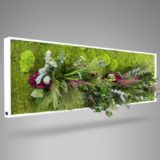 jardin vertical